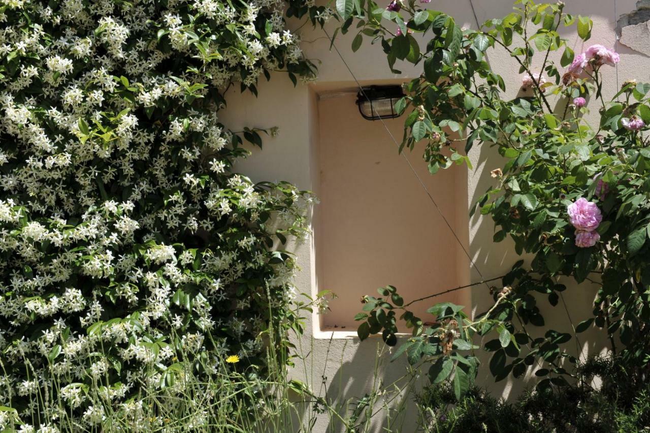 Grandpa Mate House Dragove Exterior foto